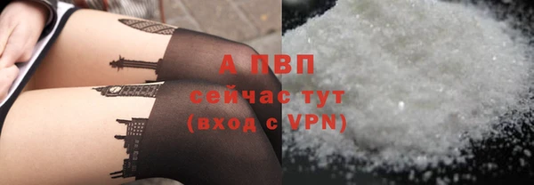 мяу мяу мука Михайлов