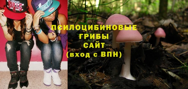 apvp Михайловск
