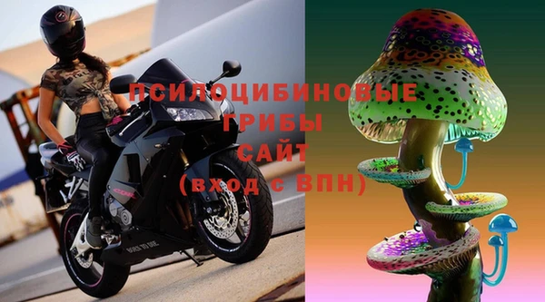мяу мяу мука Михайлов