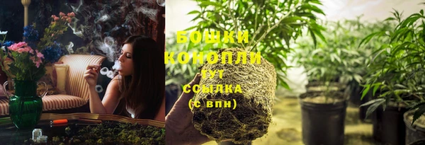 мяу мяу мука Михайлов